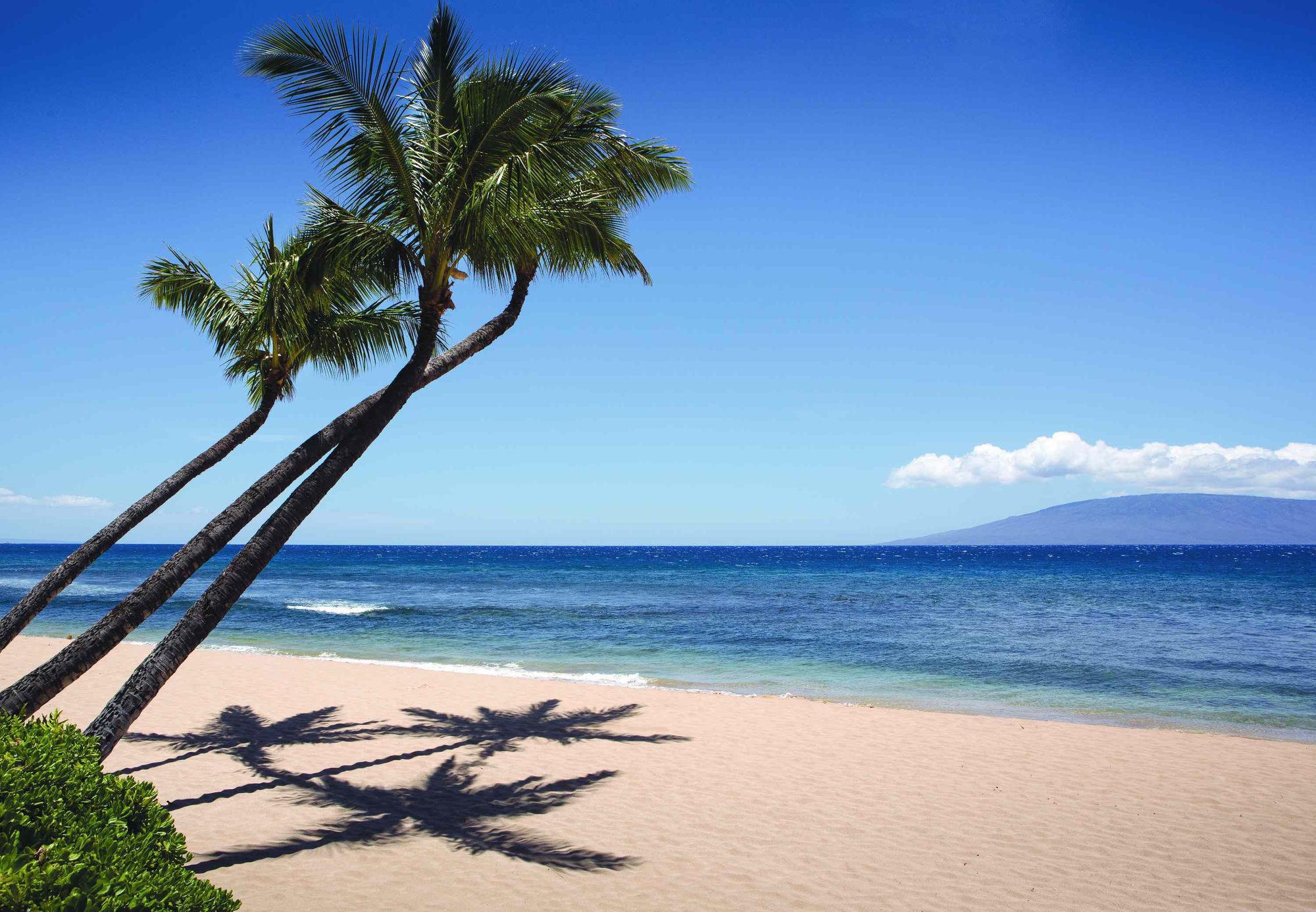 Marriott'S Maui Ocean Club - Molokai, Maui & Lanai Towers Hotell Lahaina Eksteriør bilde