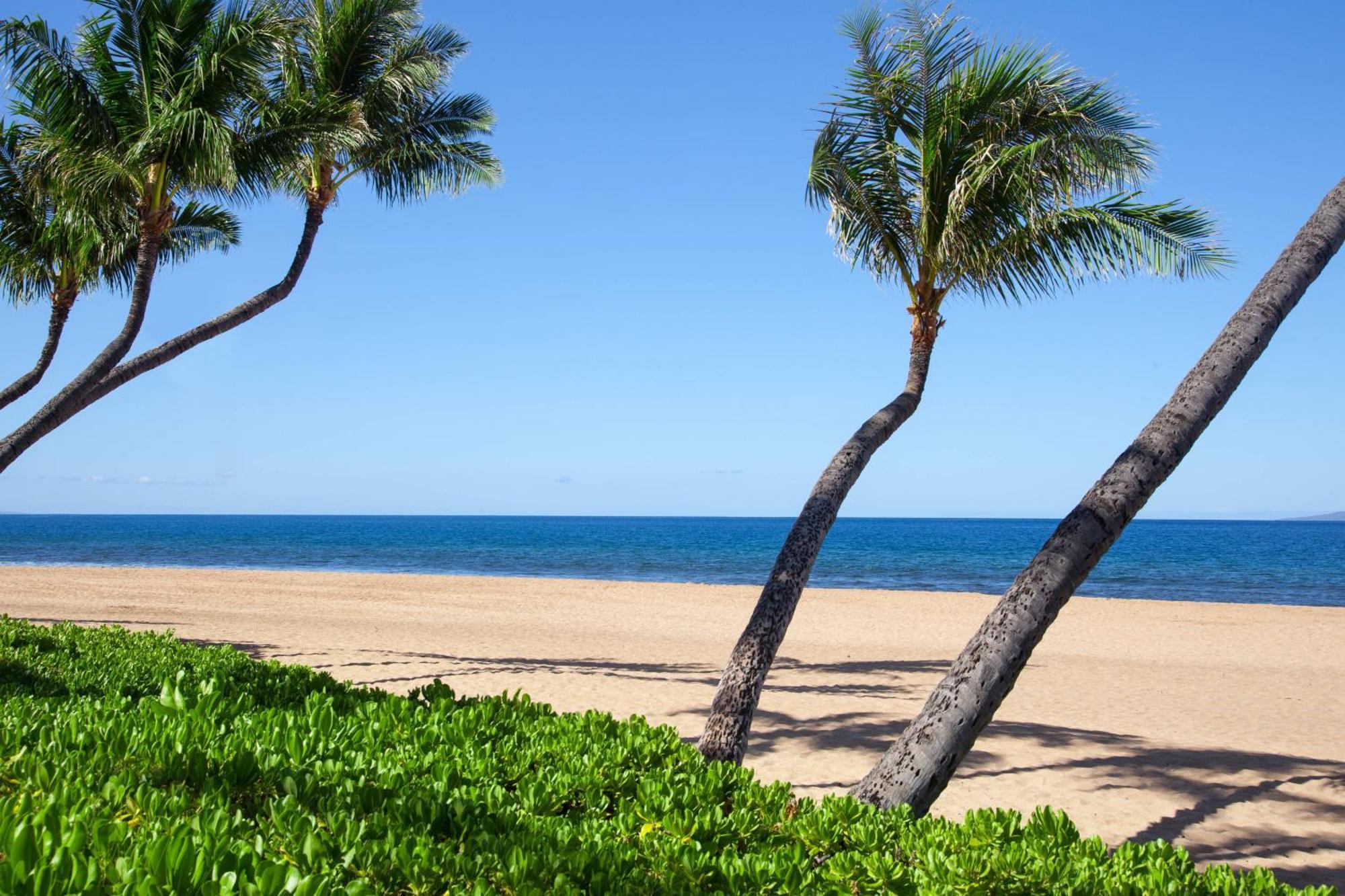 Marriott'S Maui Ocean Club - Molokai, Maui & Lanai Towers Hotell Lahaina Eksteriør bilde